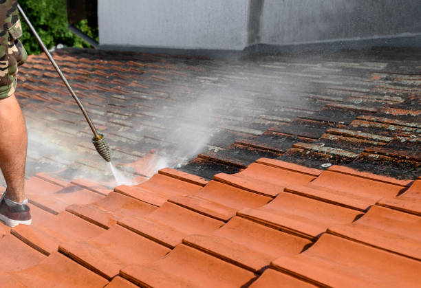 Best Affordable Pressure Washing  in Congress, AZ