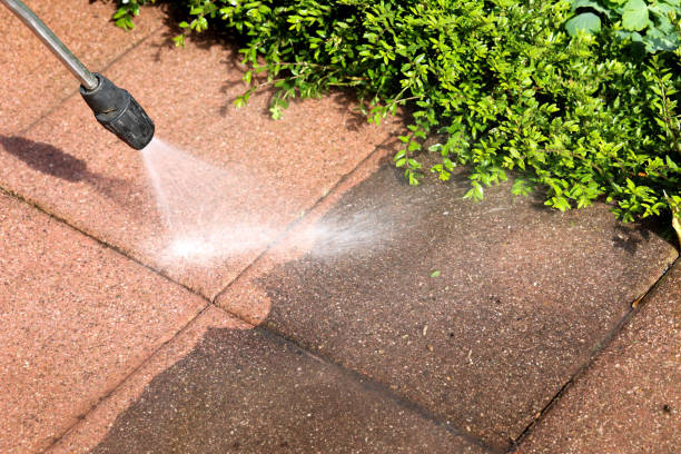 Best Roof Pressure Washing  in Congress, AZ